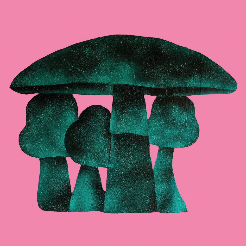 Pre-Order Now! A Crushing Glow Volume 2 - Compiled By Matt Sewell (Limited Double Vinyl LP & A2 Artprint)